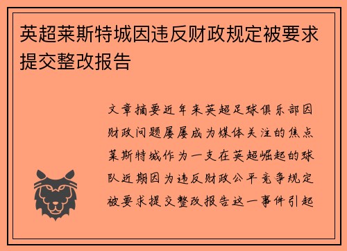 英超莱斯特城因违反财政规定被要求提交整改报告